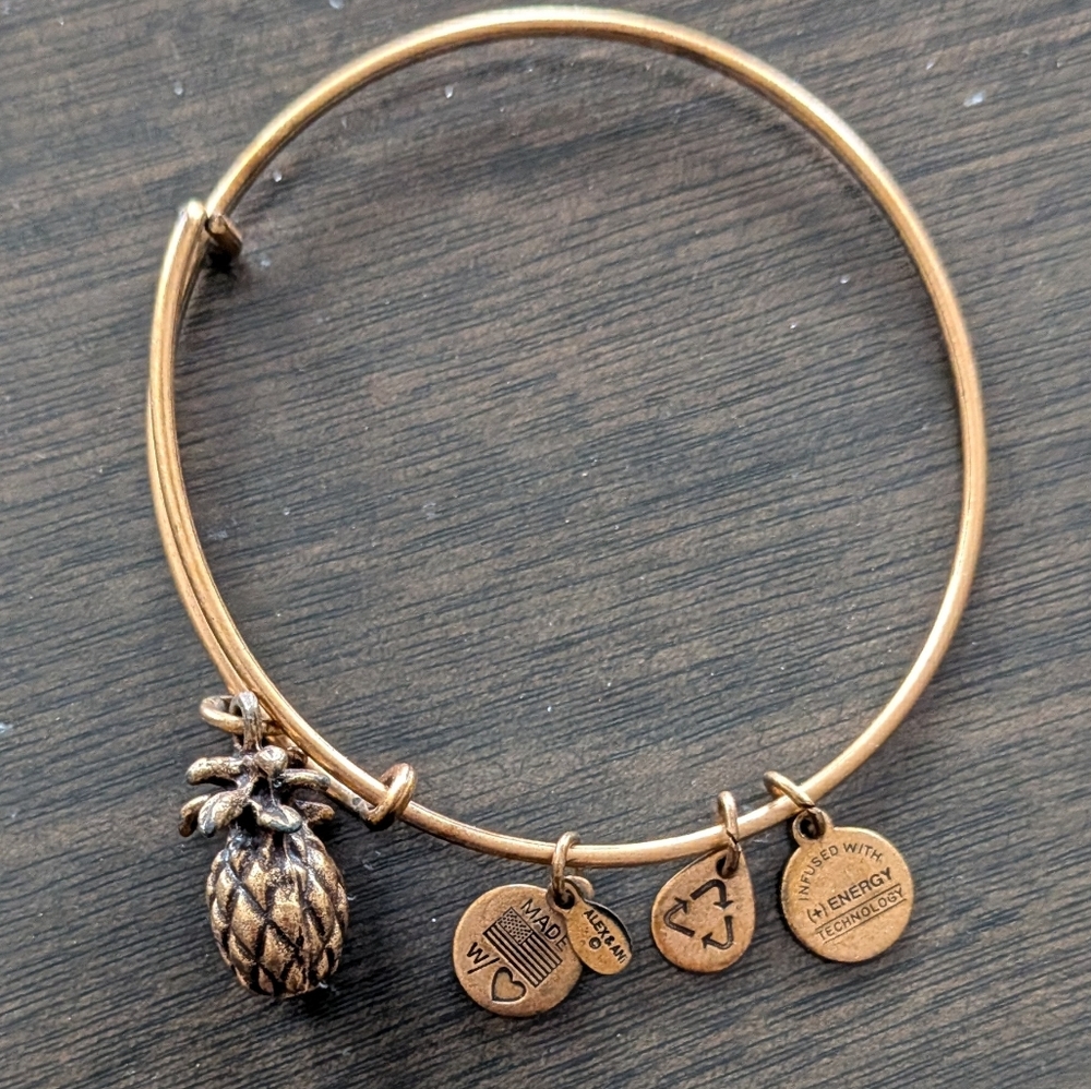 Alex and Ani Bronze Pineapple Charm Bracelet